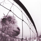 Pearl Jam - Vs. (Clear Vinyl) ((Vinyl))