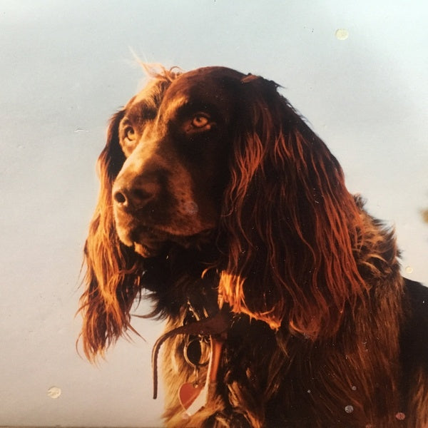 PETER KERNEL - The Size Of The Night ((Vinyl))