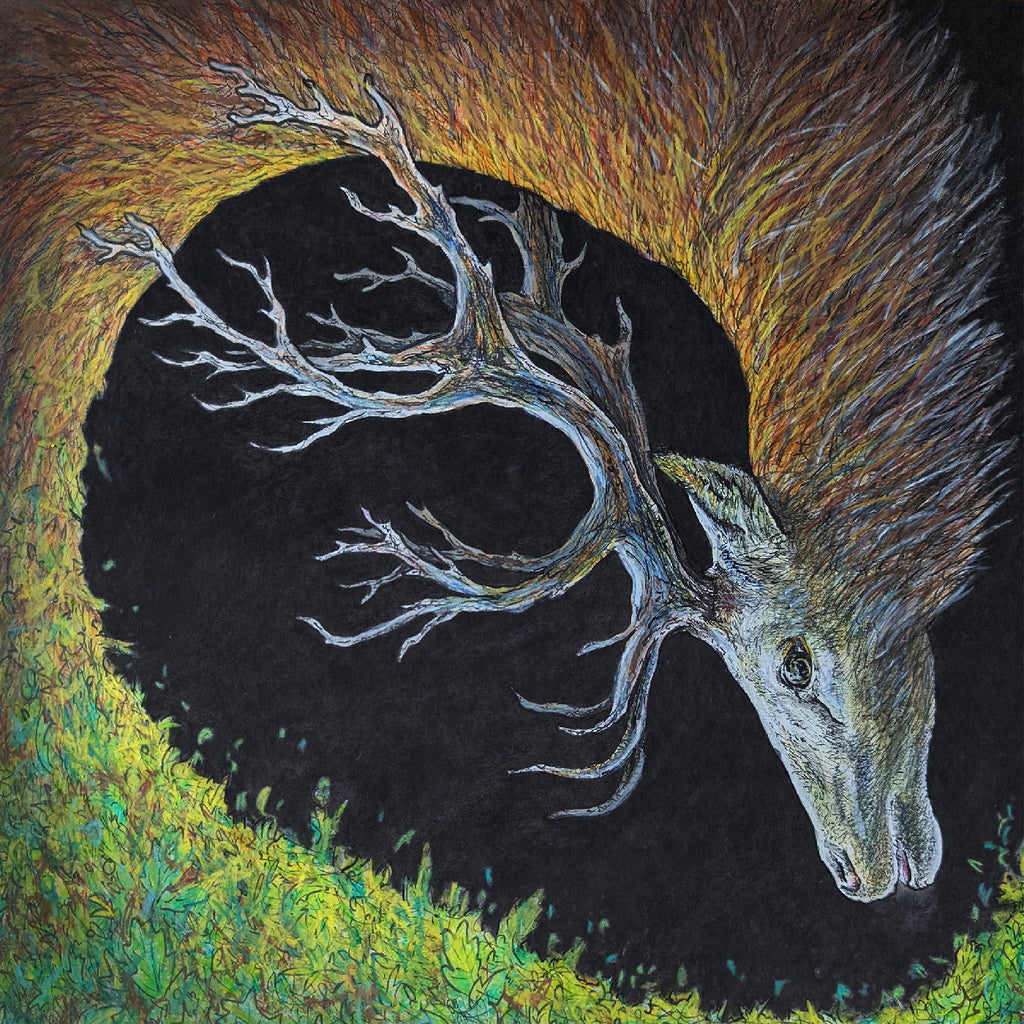 Petrels - Infangthief ((CD))