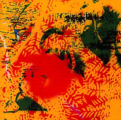 PHILL NIBLOCK - YPGPN ((CD))