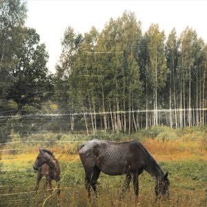 Pianos Become The Teeth - Old Pride (COLOR VINYL) ((Vinyl))