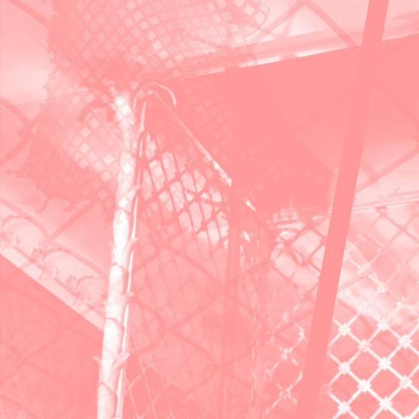 PINKCOURTESYPHONE - All Intensive Purposes ((CD))