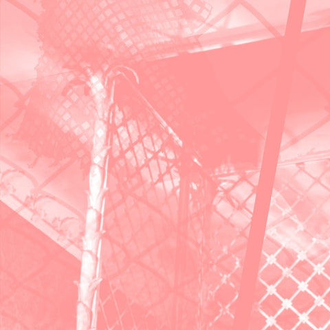 PINKCOURTESYPHONE - All Intensive Purposes ((CD))