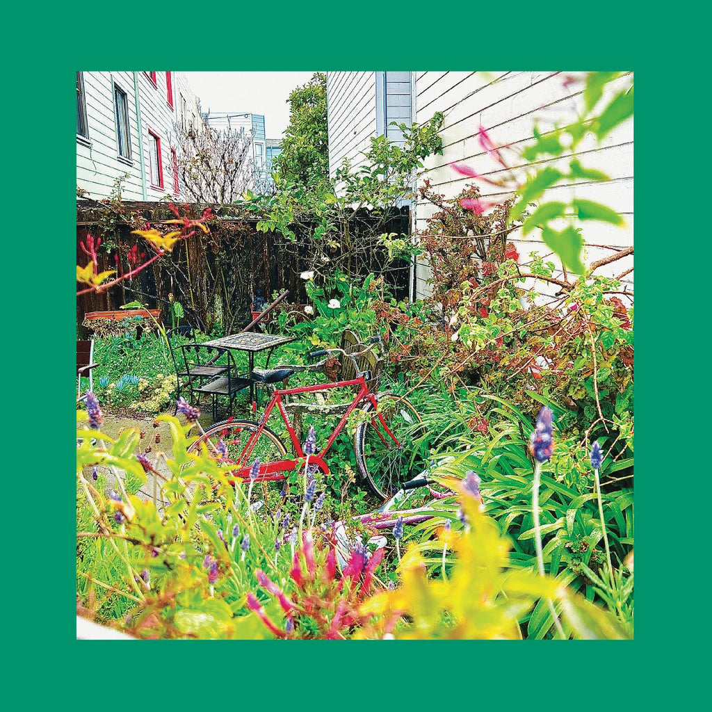 Pinks & Purples Reds - Unwishing Well (NASTURTIUM ORANGE VINYL) ((Vinyl))