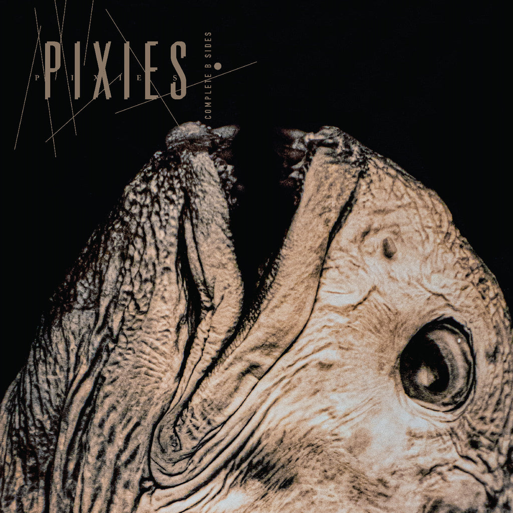 Pixies - Complete B Sides: 1988-97 ((Vinyl))