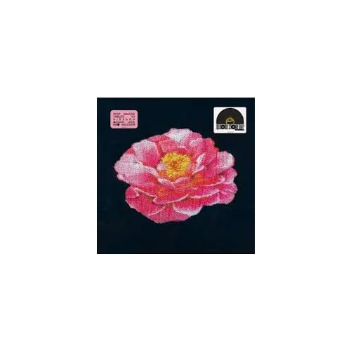 Post Malone - Post Malone Tribute To Nirvana (Rsd 4.12.25) ((Vinyl))