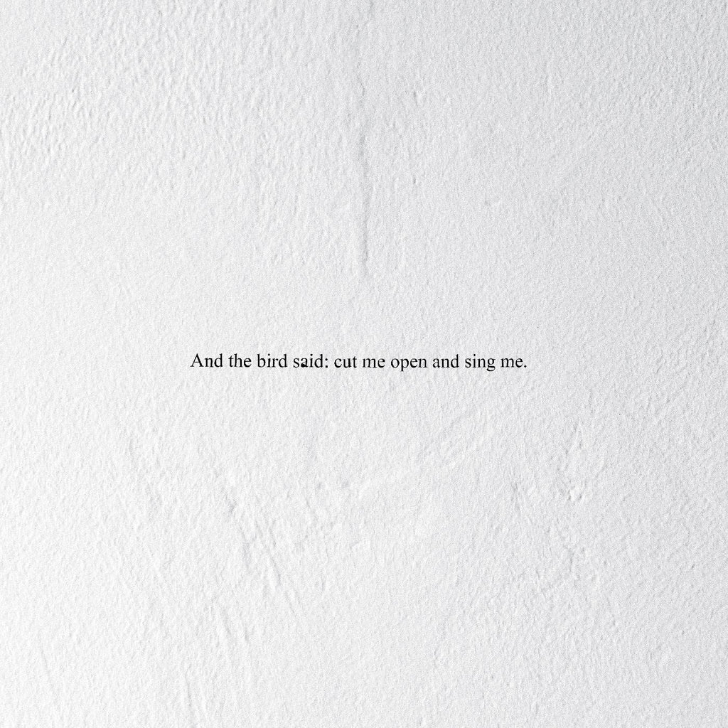 Prairie - And the Bird Said: Cut Me Open and Sing Me ((Vinyl))