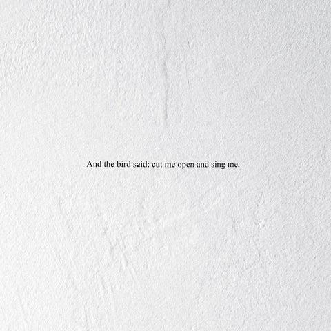 Prairie - And the Bird Said: Cut Me Open and Sing Me ((Vinyl))