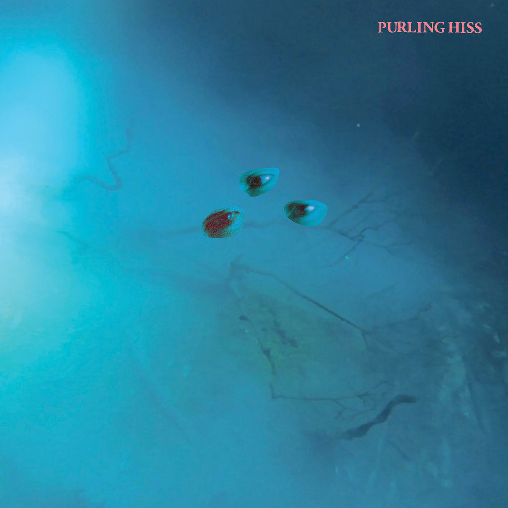 Purling Hiss - High Bias ((CD))