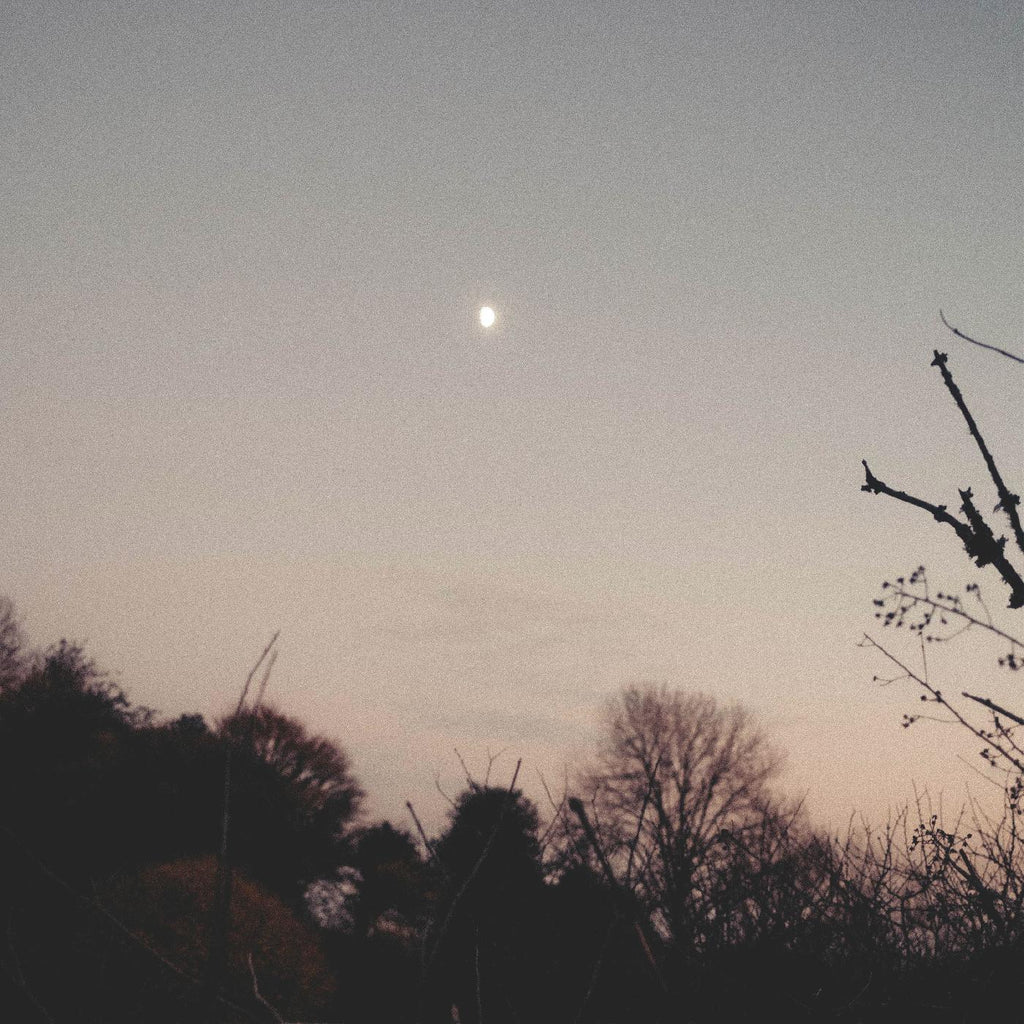 Rachel Sermanni - Dreamer Awake ((Vinyl))