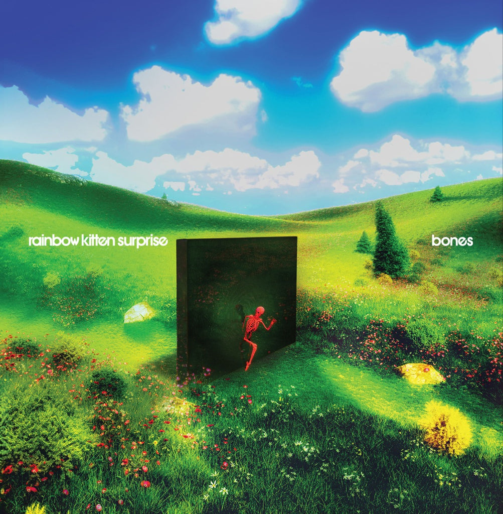 Rainbow Kitten Surprise - Bones (Standard Black Vinyl) ((Vinyl))
