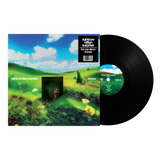 Rainbow Kitten Surprise - Bones (Standard Black Vinyl) ((Vinyl))