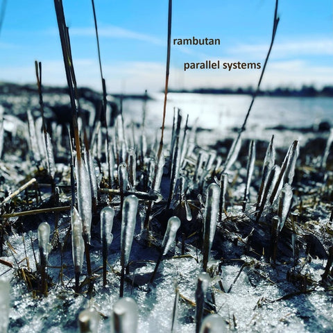 RAMBUTAN - Parallel Systems ((CD))