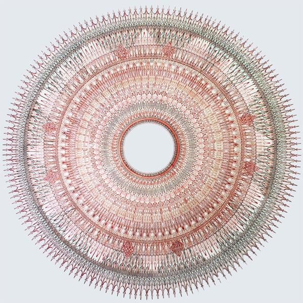 Rauelsson - La Siembra, la Espera y la Cos cha ((Vinyl))