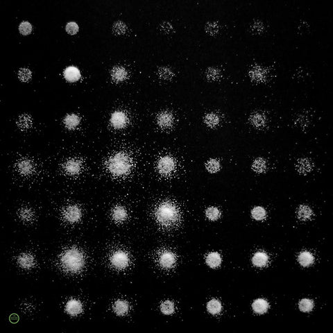 RAYON - A Beat Of Silence ((Vinyl))