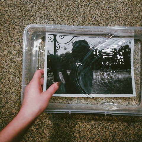 Really From - Verse ((CD))