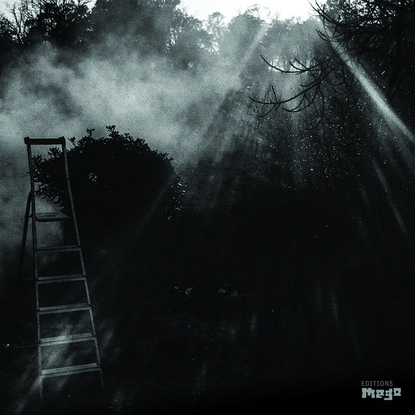 REINHOLD FRIEDL & ERYCK ABECASSIS - Animal Electrique ((Vinyl))