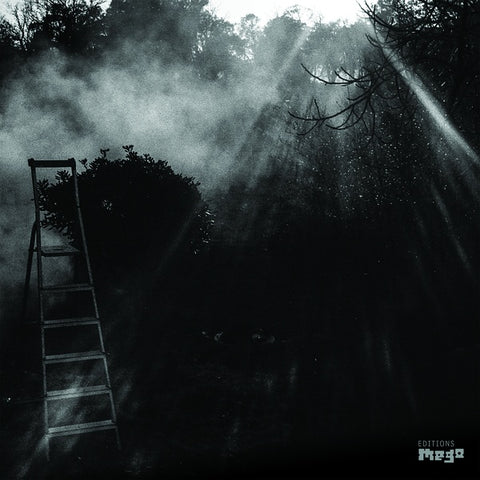 REINHOLD FRIEDL & ERYCK ABECASSIS - Animal Electrique ((Vinyl))