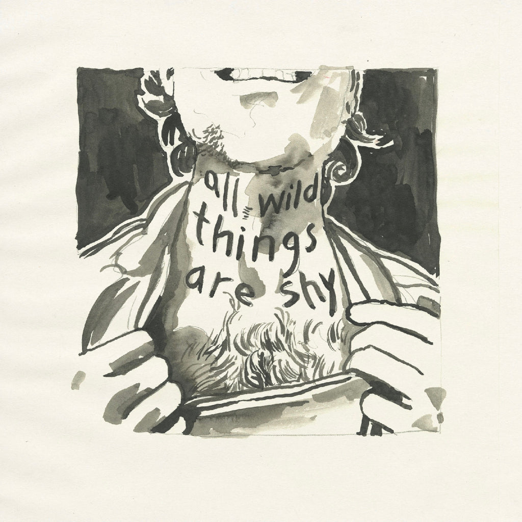 Richard Laviolette - All Wild Things Are Shy ((Vinyl))