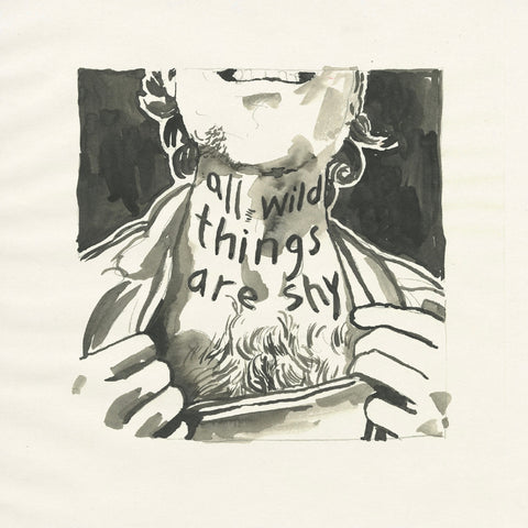 Richard Laviolette - All Wild Things Are Shy ((Vinyl))