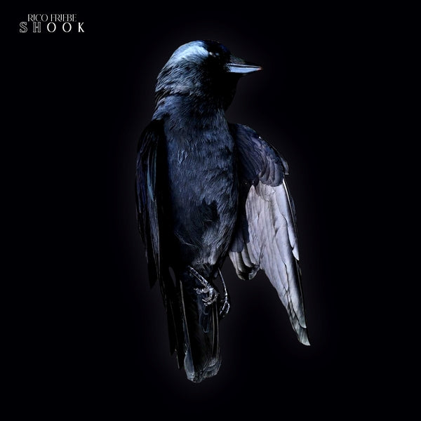 RICO FRIEBE - Shook ((CD))