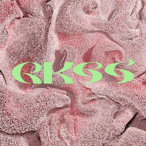 RKSS - DJ Tools ((Vinyl))