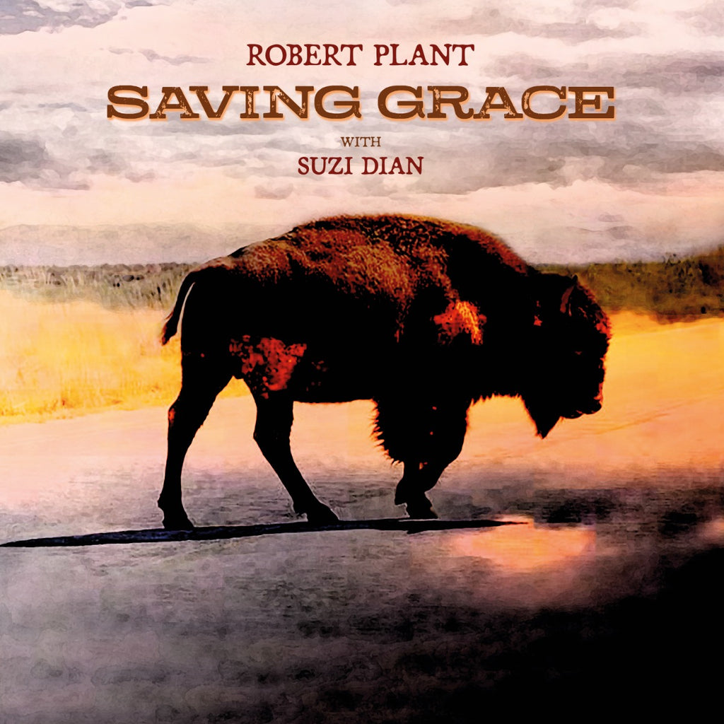Robert Plant - Saving Grace (140G Black Vinyl) ((Vinyl))