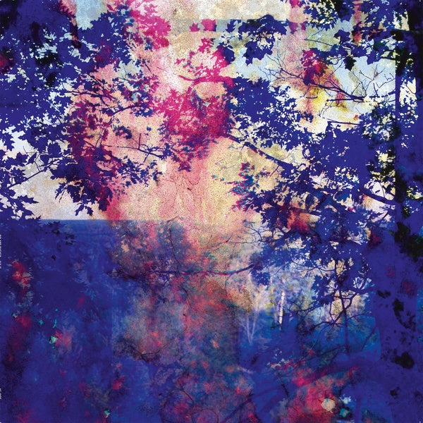 ROLAND BUCHER - Viaje ((Vinyl))