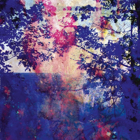 ROLAND BUCHER - Viaje ((Vinyl))