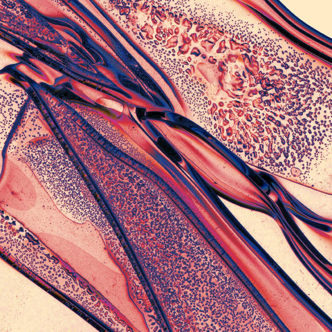 Saajtak - For the Makers ((Vinyl))