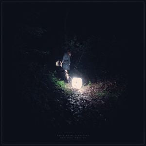Saddest Landscape - Darkness Forgives (COLOR VINYL) ((Vinyl))
