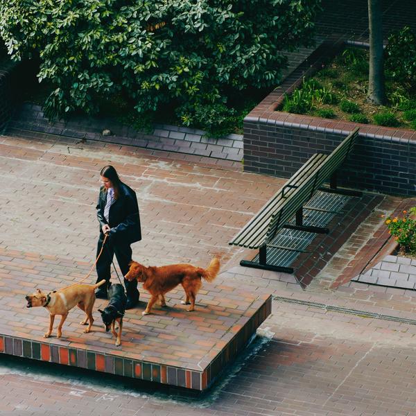 SAINT DX - Way Back Home ((Vinyl))