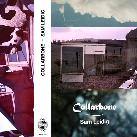 Sam Leidig - Collarbone ((Rock))