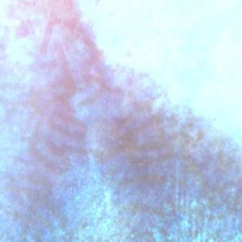 SCUBA DEATH - The Worm At The Core ((Vinyl))