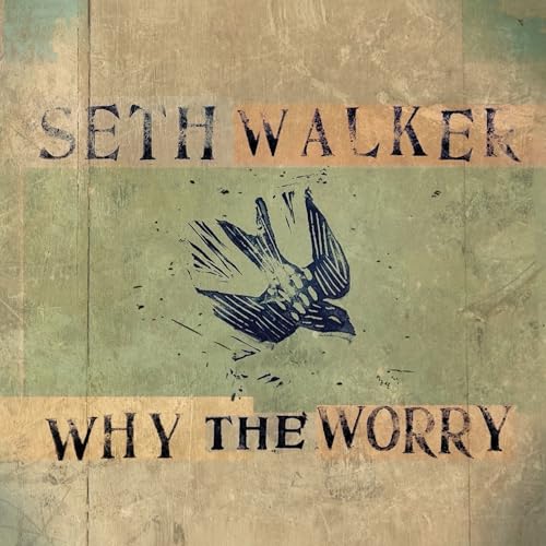 Seth Walker - Why The Worry ((CD))