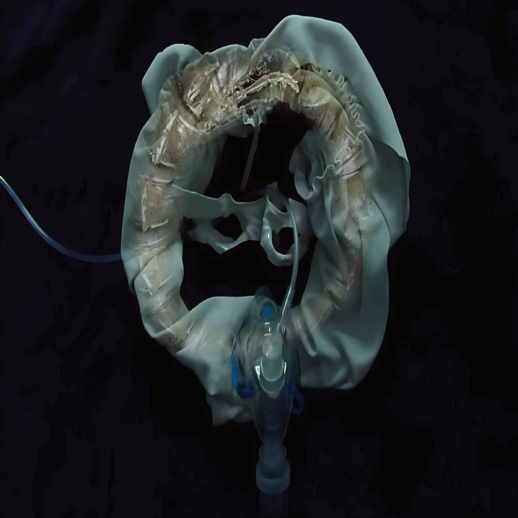 Ship Sket - Initiatrix ((Vinyl))