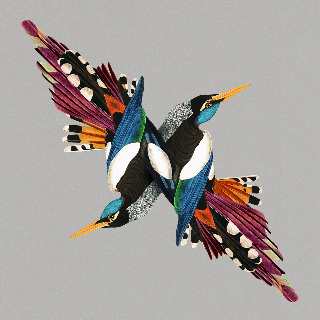 Shire T - Tomorrows People ((Vinyl))