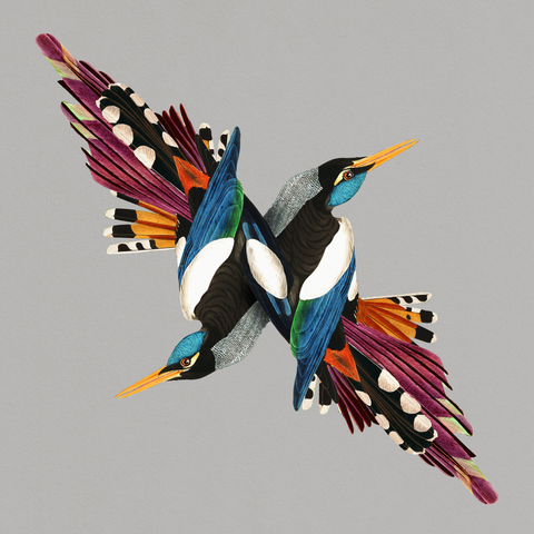 Shire T - Tomorrows People ((Vinyl))