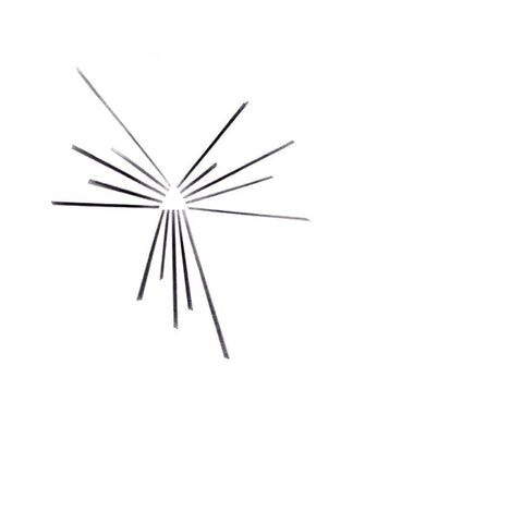 Six Organs of Admittance - Mariakapel [Lp] ((Vinyl))