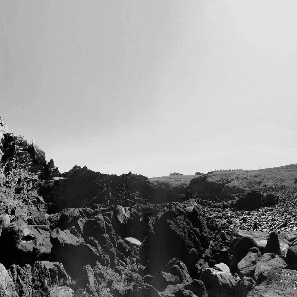 Six Organs of Admittance - The Veiled Sea ((Vinyl))