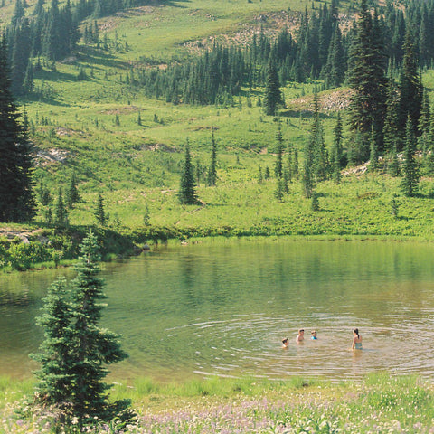 Skirts - Great Big Wild Oak (MILKY CLEAR VINYL) ((Vinyl))