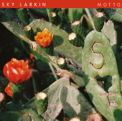 Sky Larkin - Motto ((Vinyl))
