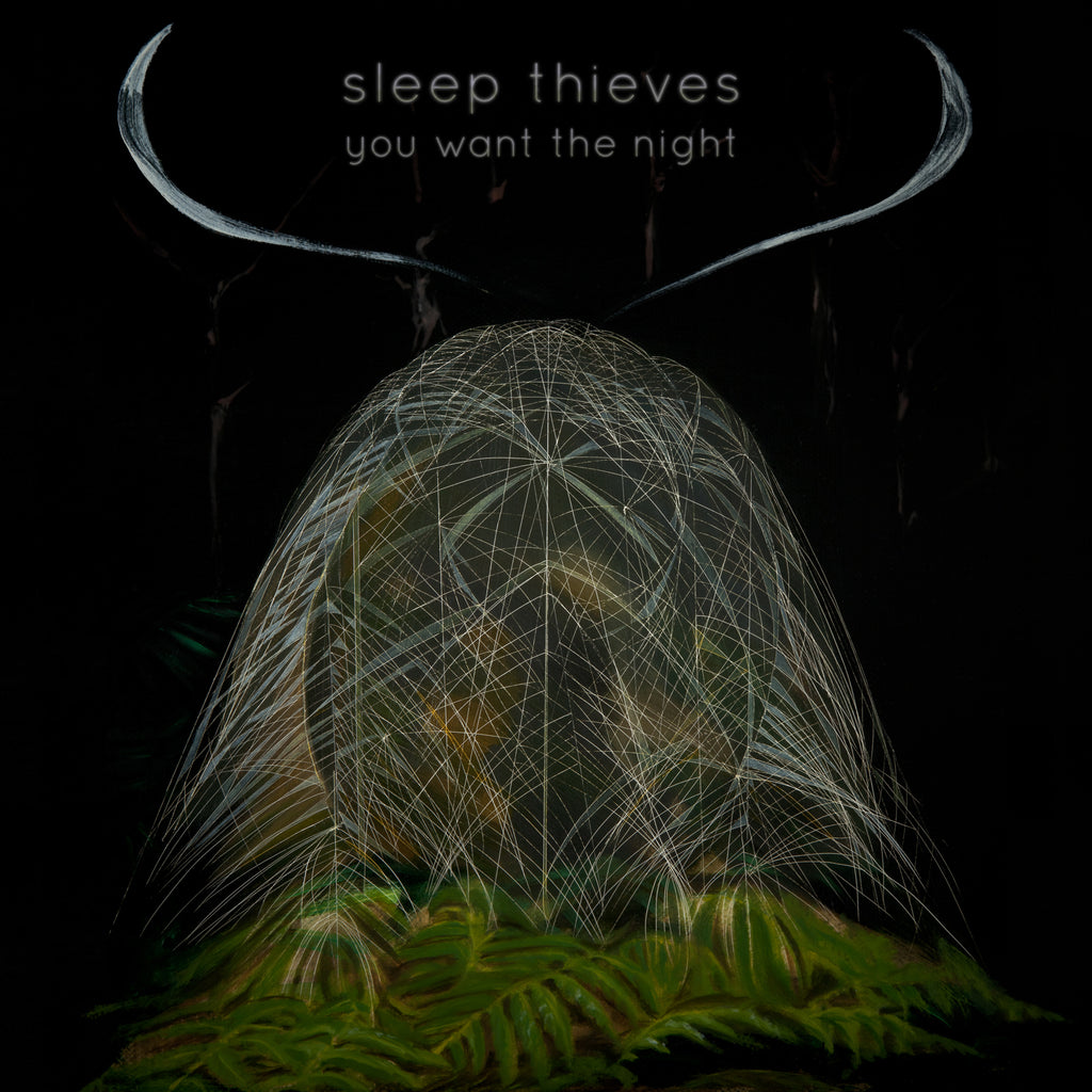 Sleep Thieves - You Want The Night ((Vinyl))