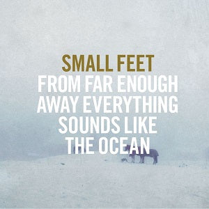 Small Feet - From Far Enough Away Everything Sounds Like The Ocean ((CD))