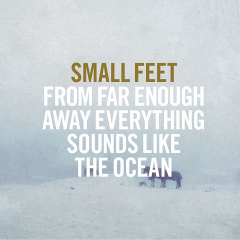 Small Feet - From Far Enough Away Everything Sounds Like The Ocean ((Vinyl))