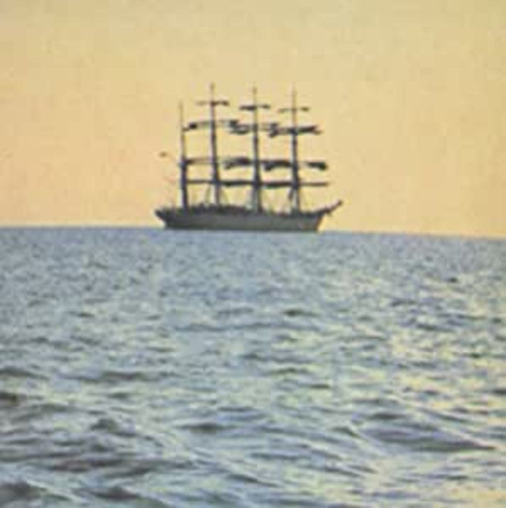 Smog - The Doctor Came at Dawn ((Vinyl))