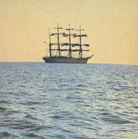 Smog - The Doctor Came at Dawn ((Vinyl))