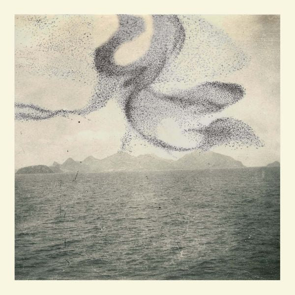 Snow Ghosts - A Small Murmuration ((CD))