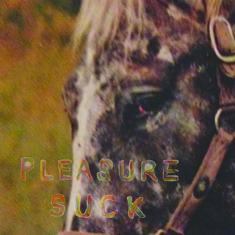 SPIRIT OF THE BEEHIVE - Pleasure Suck (TRANSPARENT ORANGE VINYL) ((Vinyl))