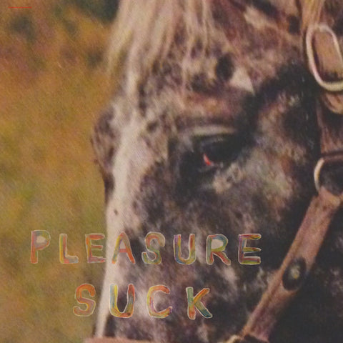 SPIRIT OF THE BEEHIVE - Pleasure Suck ((CD))